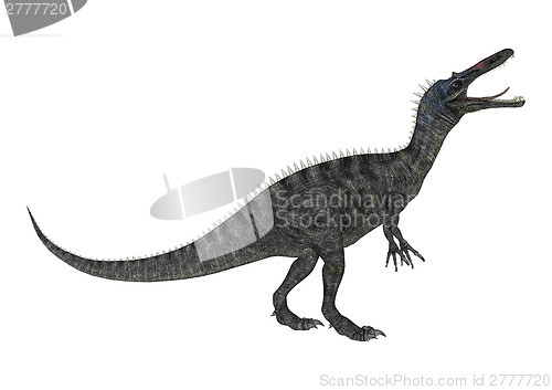 Image of Dinosaur Suchomimus