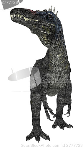 Image of Dinosaur Suchomimus