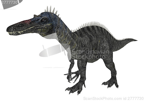 Image of Dinosaur Suchomimus