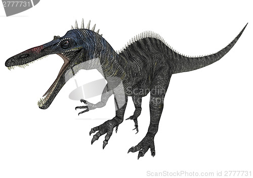 Image of Dinosaur Suchomimus