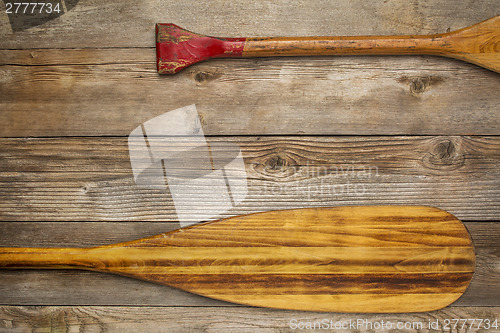 Image of blade and grip of canoe paddle