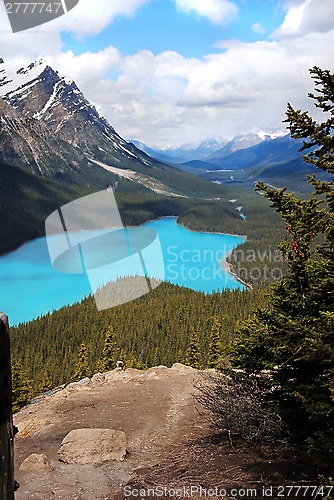 Image of Peyto Lake in Banff National Park, Canada