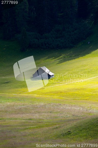 Image of Field