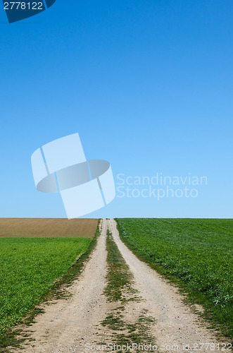 Image of Country road to the fields