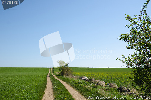 Image of Country road at the fields