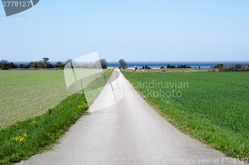 Image of Road to the coast