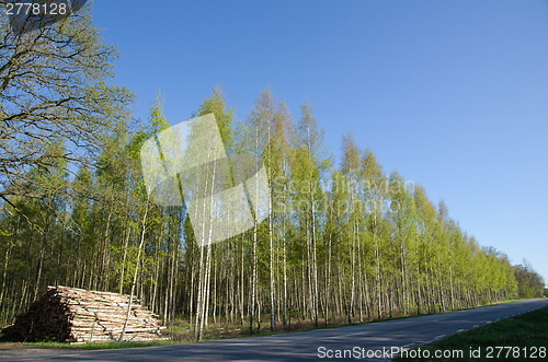 Image of Logpile at roadside