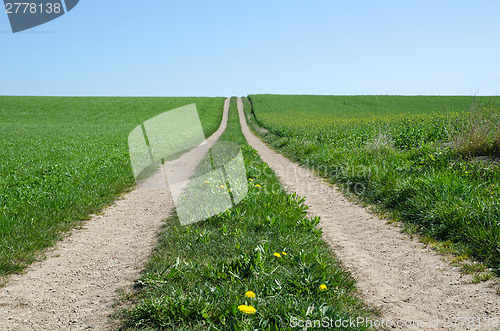 Image of Rural Road