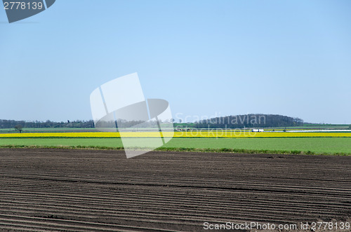 Image of Rural landscape patterns