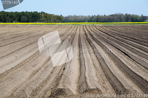 Image of Newly ploughed rows