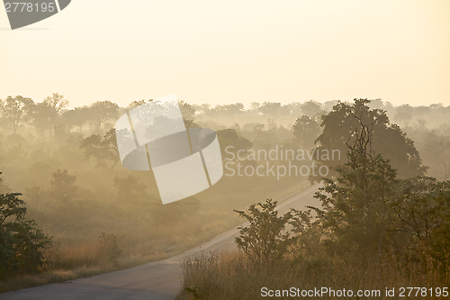 Image of Misty road