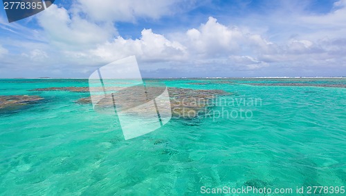 Image of ocean landscape