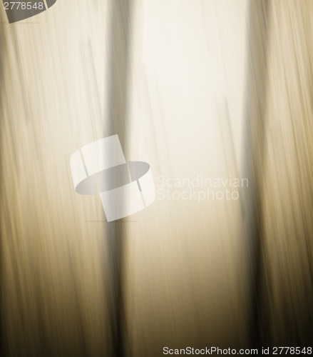 Image of Wood wall
