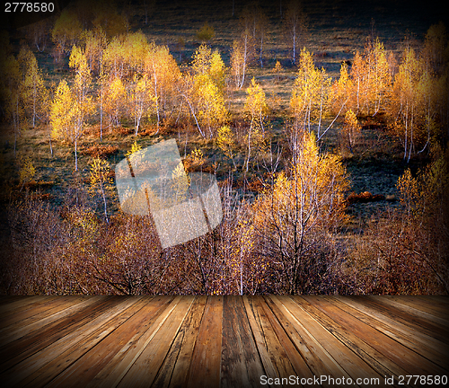 Image of autumn forest view from veranda