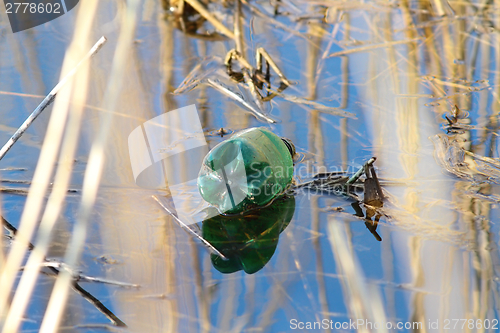 Image of pollution in natural wetland area