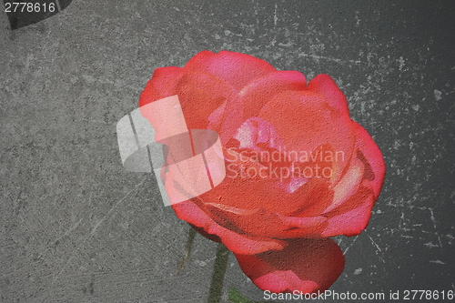 Image of textured canvas red rose