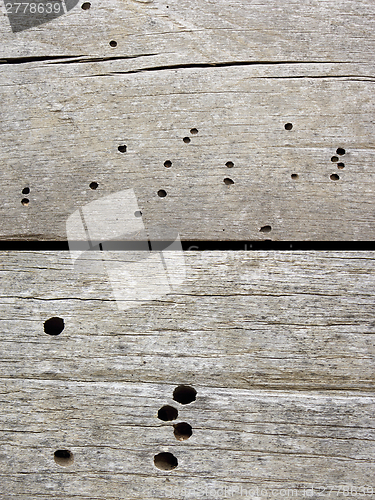 Image of insects damage on old construction wood