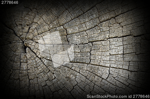 Image of cracks on old oak wood surface