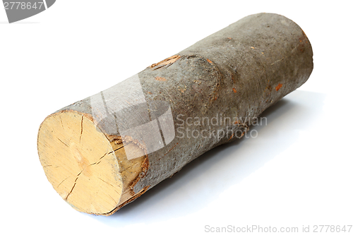 Image of piece of firewood