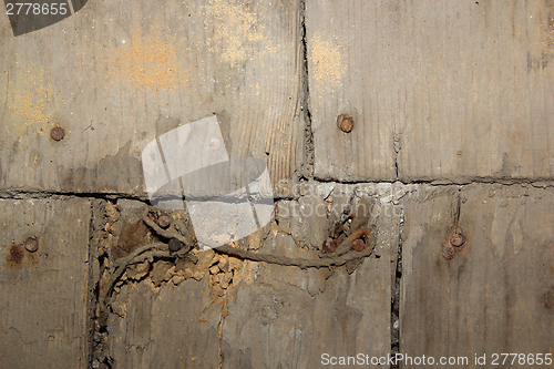 Image of fungus attack on wood floor