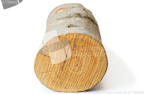 Image of piece of firewood on white