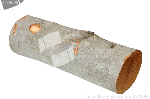 Image of firewood isolated without shadow