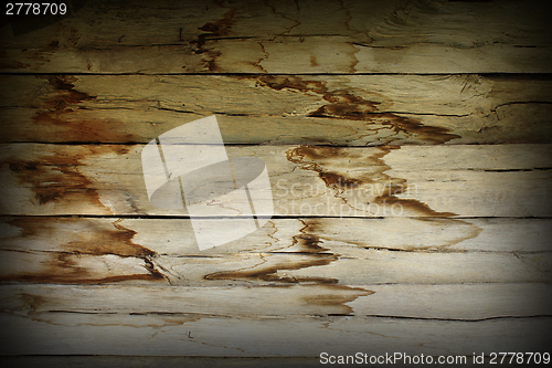 Image of damp effects on wood wall