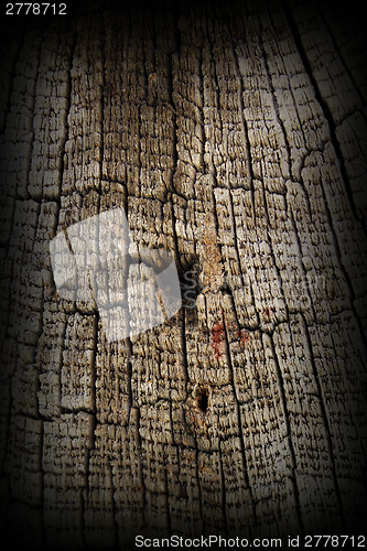 Image of very old textured oak wood