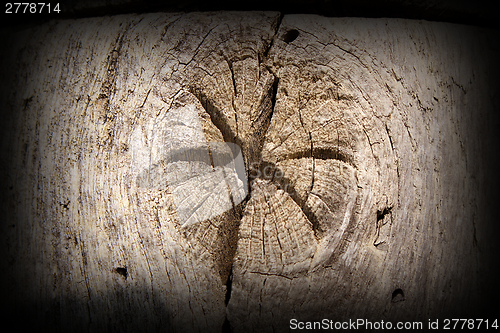 Image of interesting star in wood knot