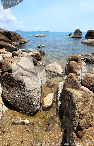 Image of Landscape on the beach