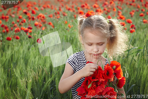 Image of Little girl on the poppy meadow