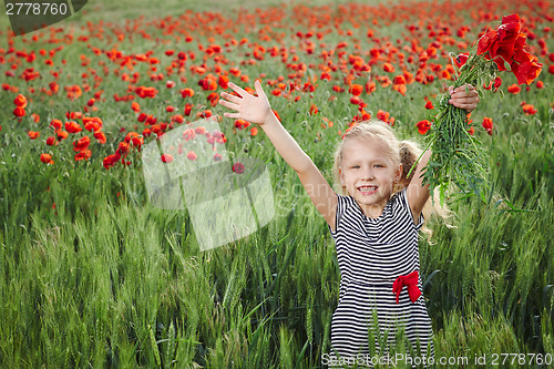 Image of Little girl on the poppy meadow