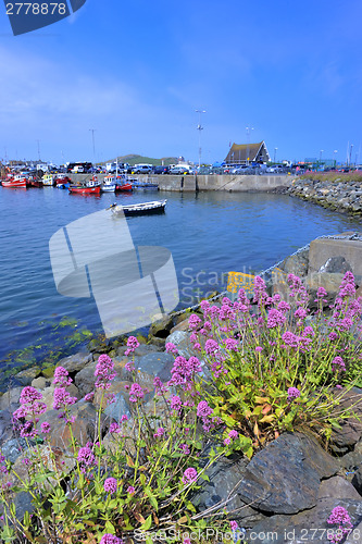 Image of Howth harbor county Dublin, Ireland.