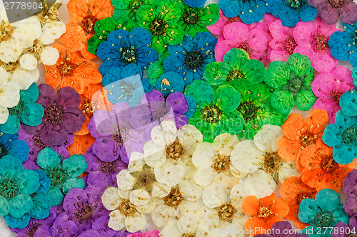 Image of Decorative montage compilation of colorful dried spring flowers