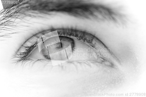 Image of Young man's eyes