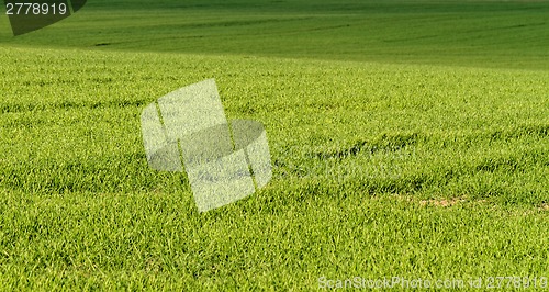 Image of Rural farming