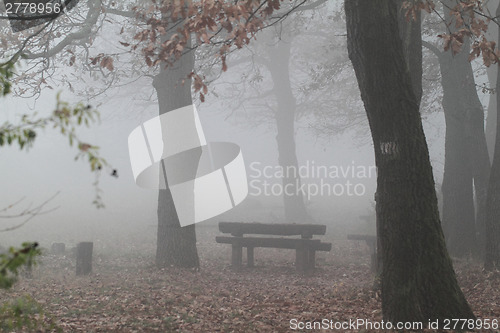 Image of Foggy landscape