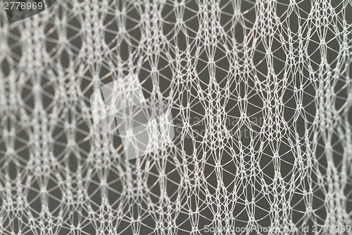 Image of Special lace