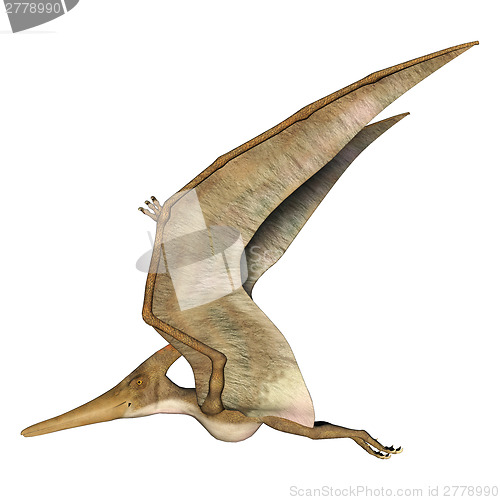 Image of Flying Pteranodon