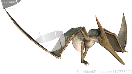 Image of Grounded Pteranodon