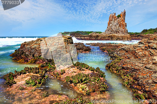 Image of Cathedral Rocks Kiama Downs Australia