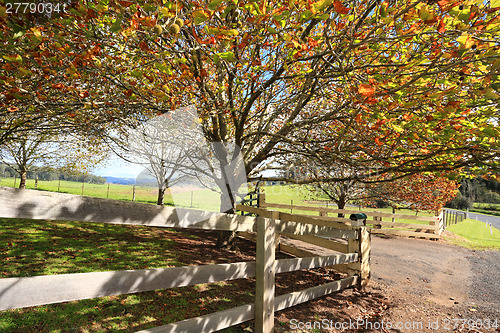 Image of Mountain Landsc ape in the Autumn Fall