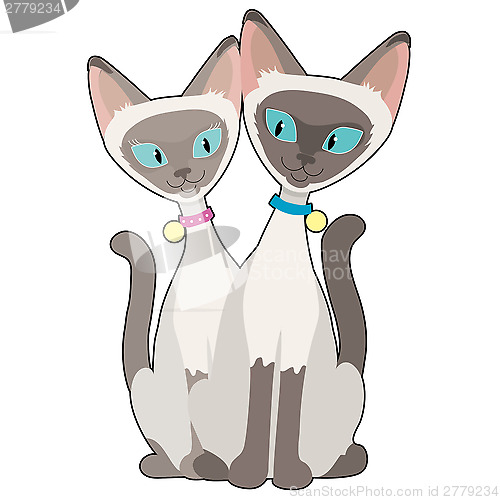 Image of Siamese Cats