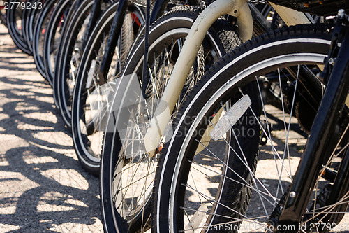 Image of Row of Bicycle Tires