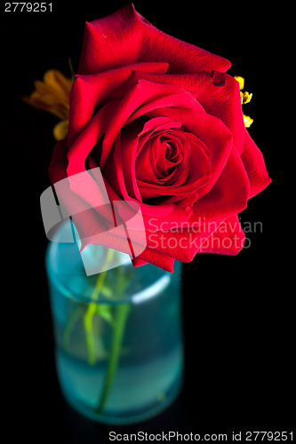 Image of Red Rose in a Vase