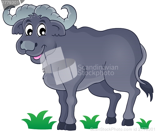 Image of African bull image 1