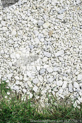 Image of Green grass and stones