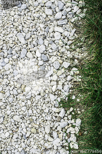 Image of Green grass and stones