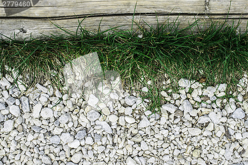 Image of Green grass and stones