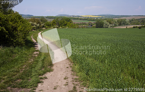 Image of Spring landscape